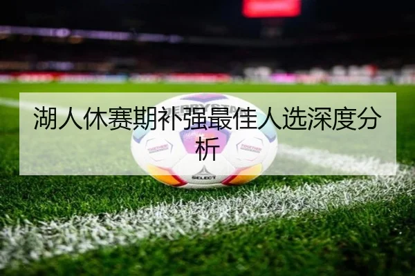 湖人休赛期补强最佳人选深度分析